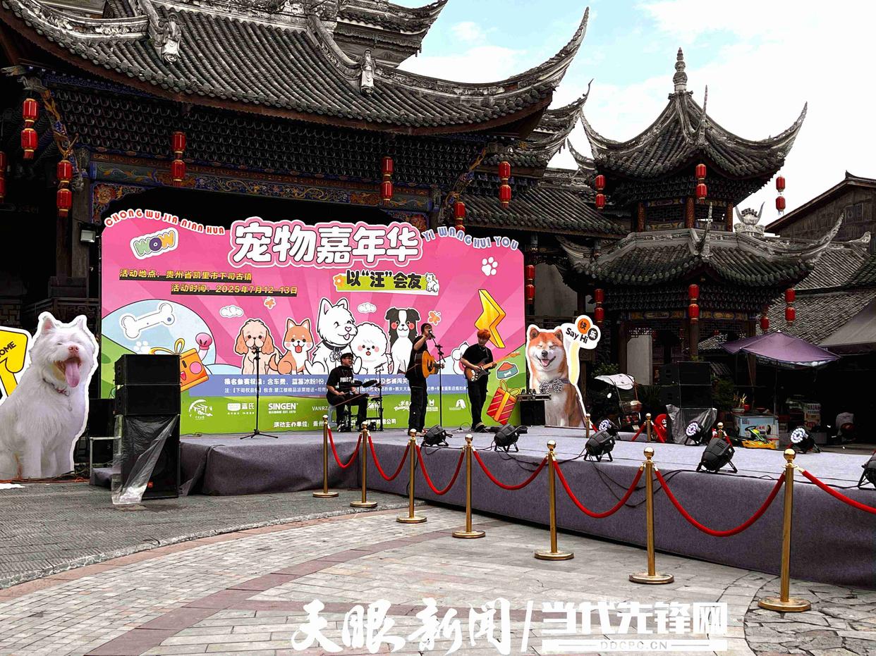 贵州下司古镇举办萌宠嘉年华 探索文旅融合新路径
