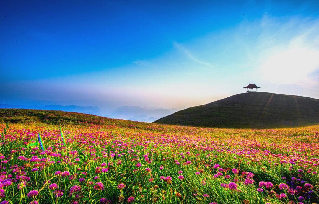 韭菜坪秋景出圈，贵州屋脊奏响文旅新乐章